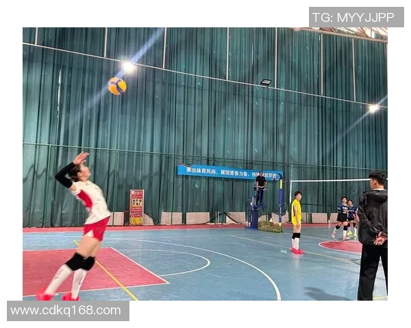 武汉排球队在全国排球力量排行榜中荣获第十名展现强劲实力与潜力