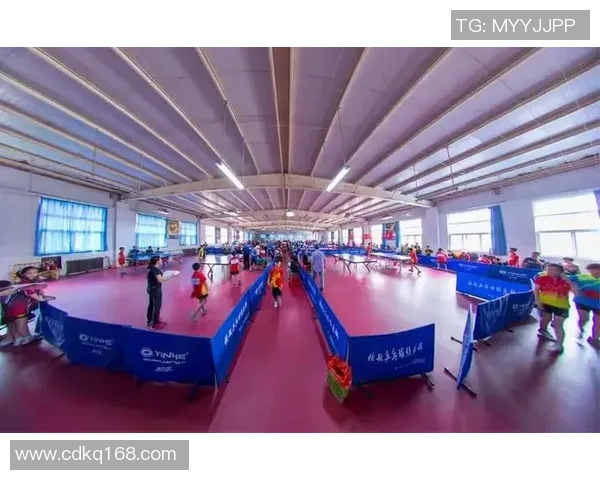 张敏专访：从乒乓球新星到传奇人物的辉煌历程回顾